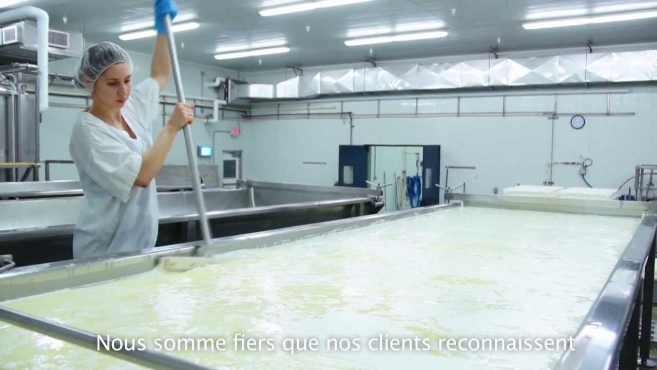 Production de Fromage Feta Krinos