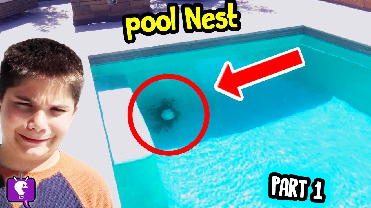 We Find Mystery NEST... PART 1 in Backyard by HobbyKidsTV