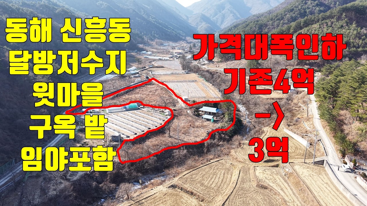 강원도 동해시 신흥동 태백산맥 백봉령 아래 전원마을 시골집 밭 임야 리치부동산
