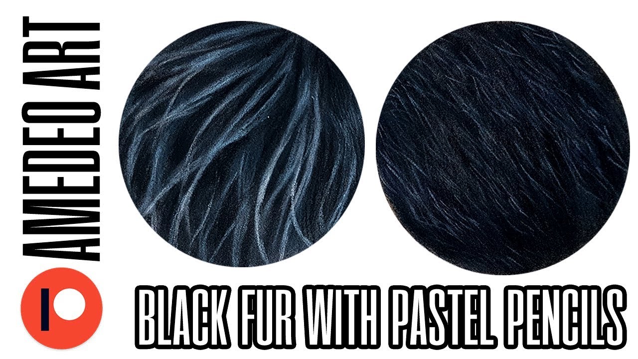 How to draw short and long black fur with pastel pencils | Pastel pencils for beginners | Tutorial