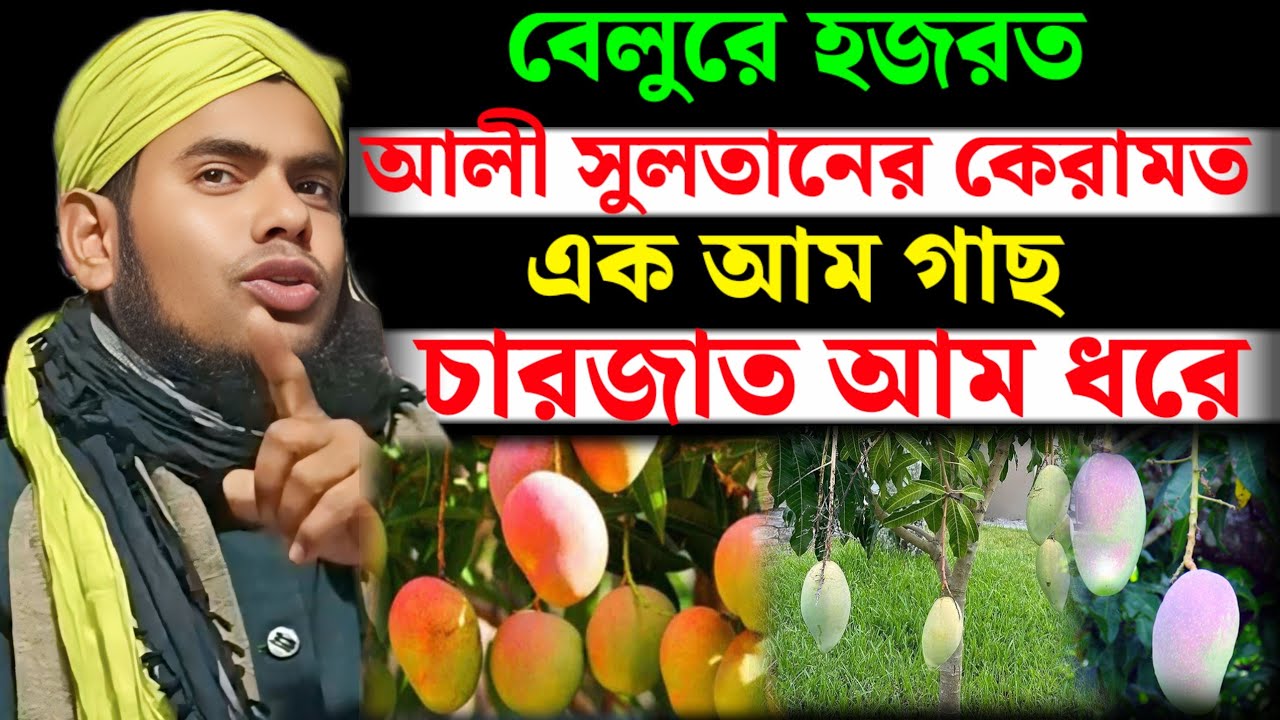 বেলুরে হজরত আলী সুলতানের কেরামত এক আম গাছে চার জাত আম ধরে  || Moulana Guljar Hussain