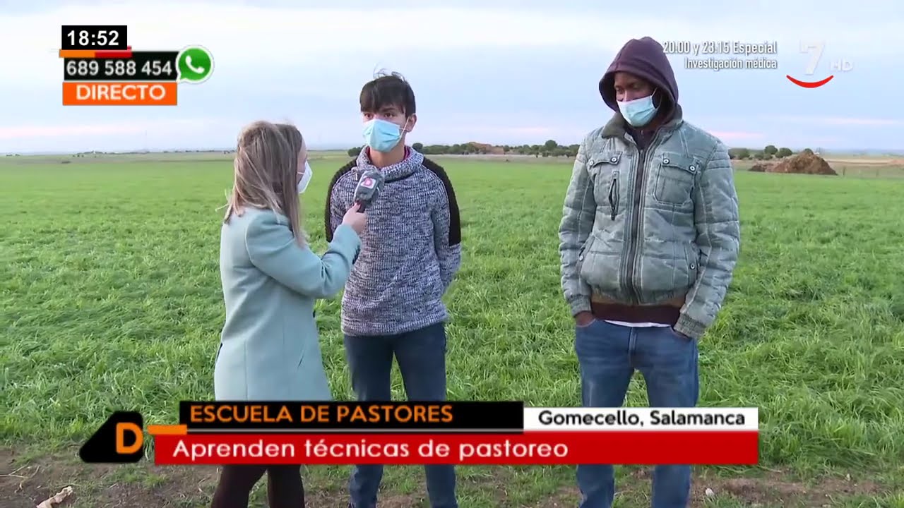 Visitamos una escuela de pastores en Gomecello, Salamanca | Castilla y León directo