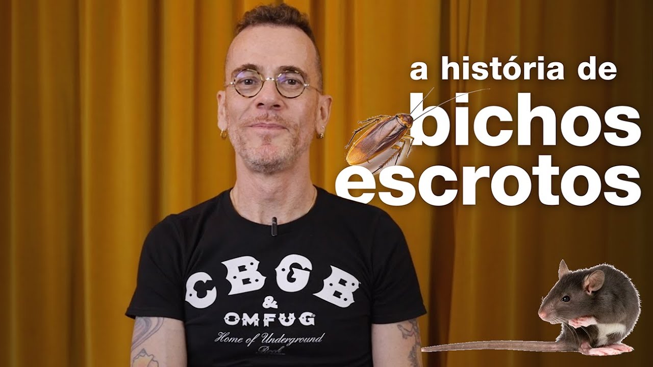 Nando Reis - A hist&oacute;ria de 