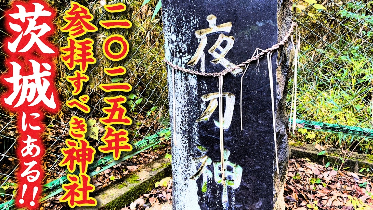 2025年必ず参拝すべき神社が茨城にある！？夜刀（やと）とは？