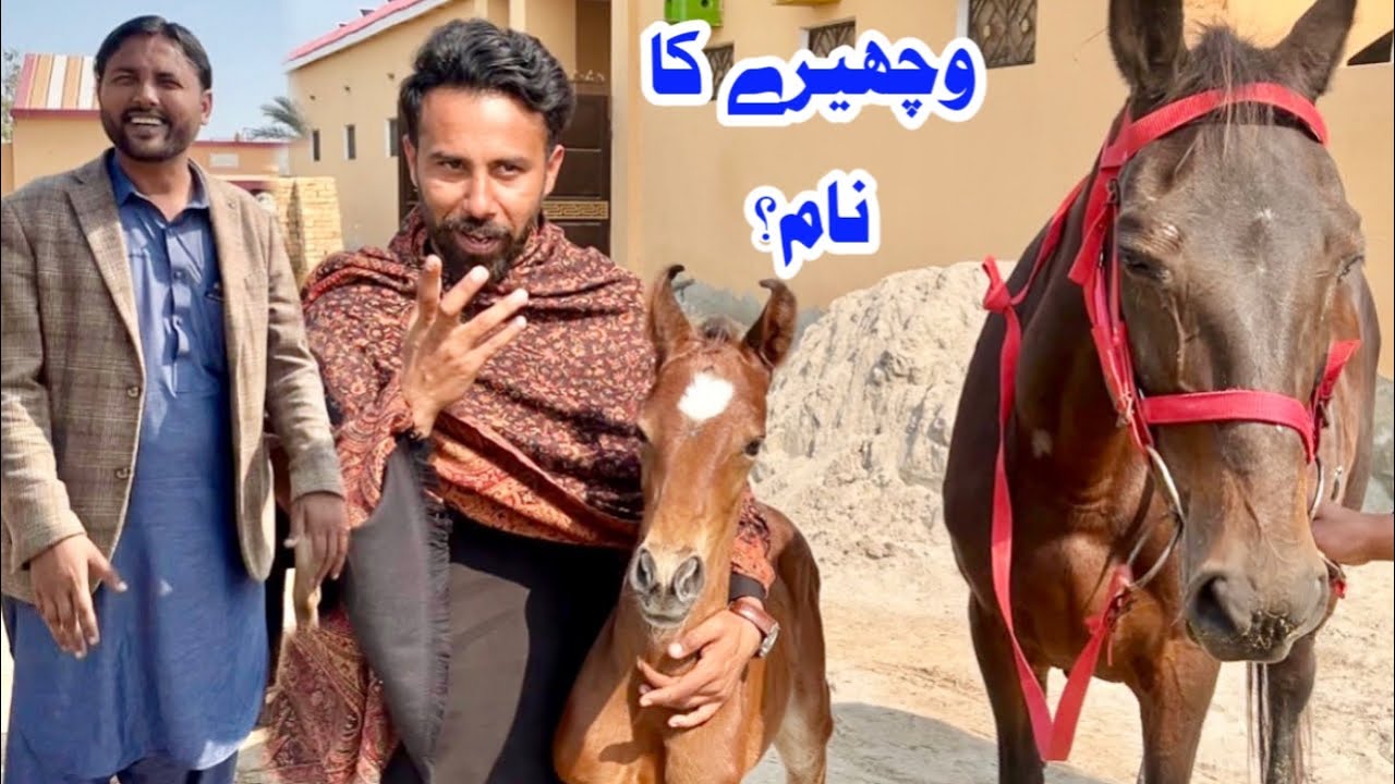 Wachery Ka Naam