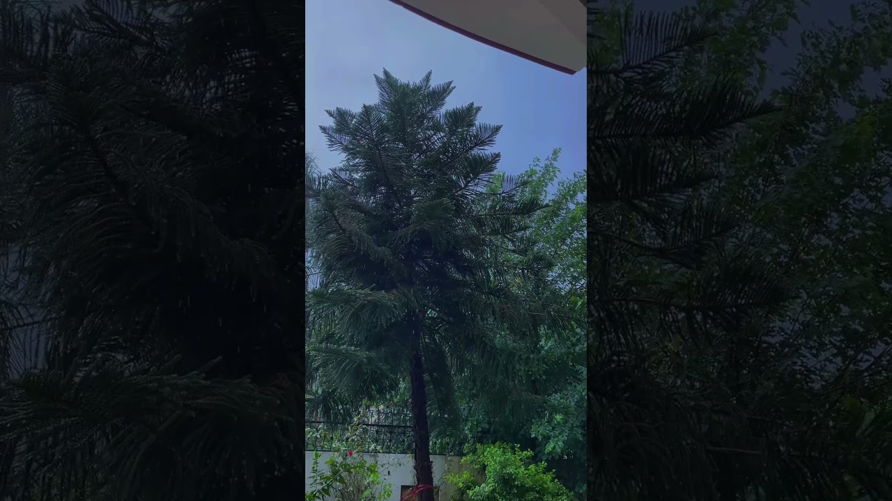 Kalimat | Arabic | instrumental Music #aesthetic#sad#arabic#music#rain#nature#shorts#status#viral