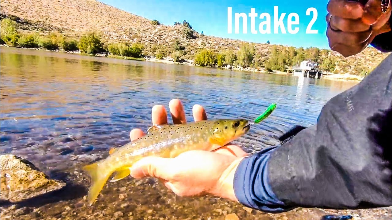 Intake 2 fishing! Limits