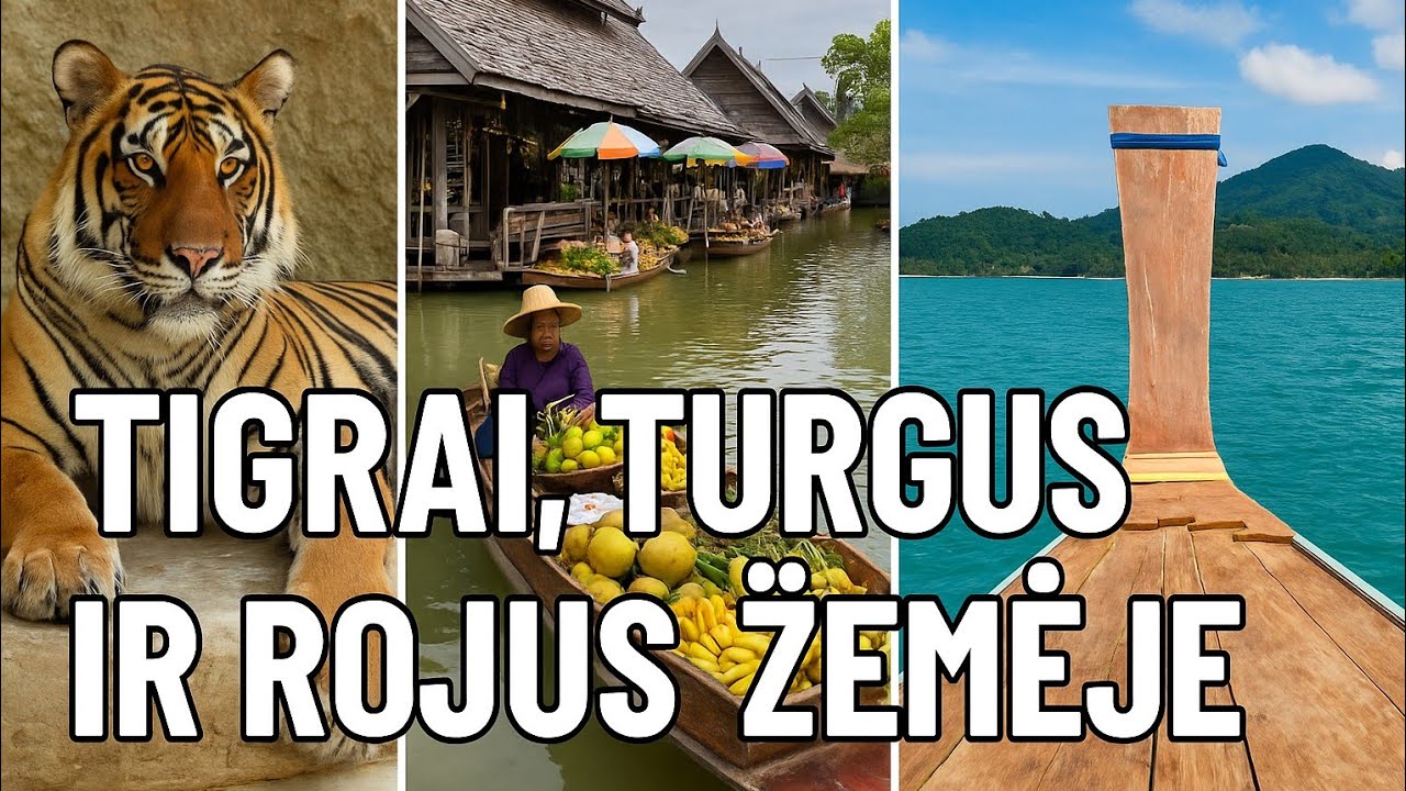 Nuo tigrų iki tropikų | Nuotykiai Patajoje ir kelionė į Ko Čangą“