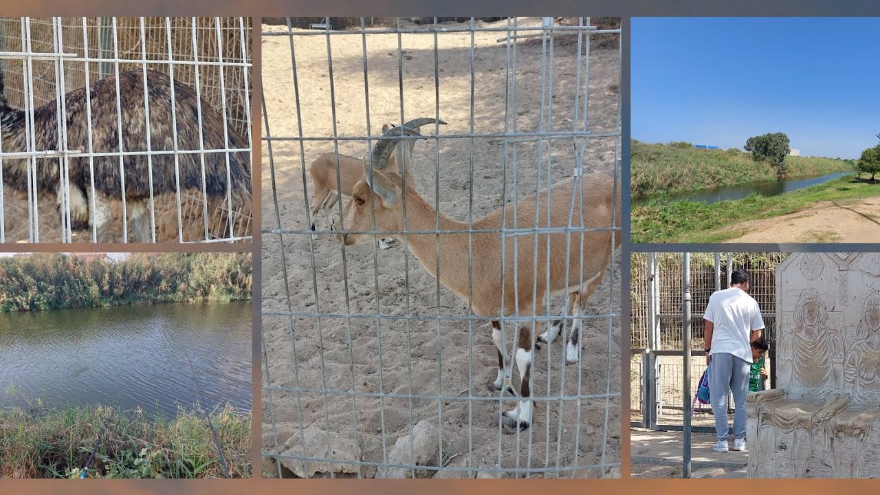 Ж🤬па колесу💥Парк Лахиш Ашдод 🏞 Израиль рыбалка🎣