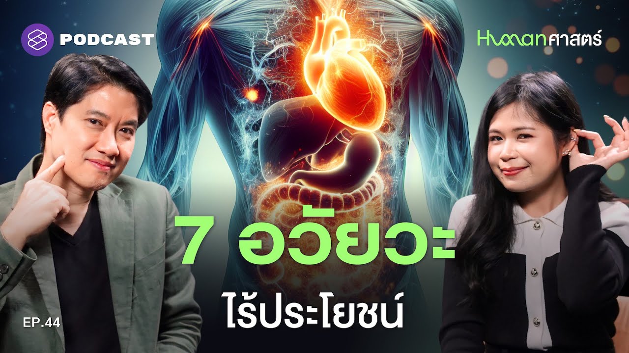 อวัยวะไร้ประโยชน์เหล่านี้ ทำไมยังต้องมีอยู่? | Human-ศาสตร์ EP.44