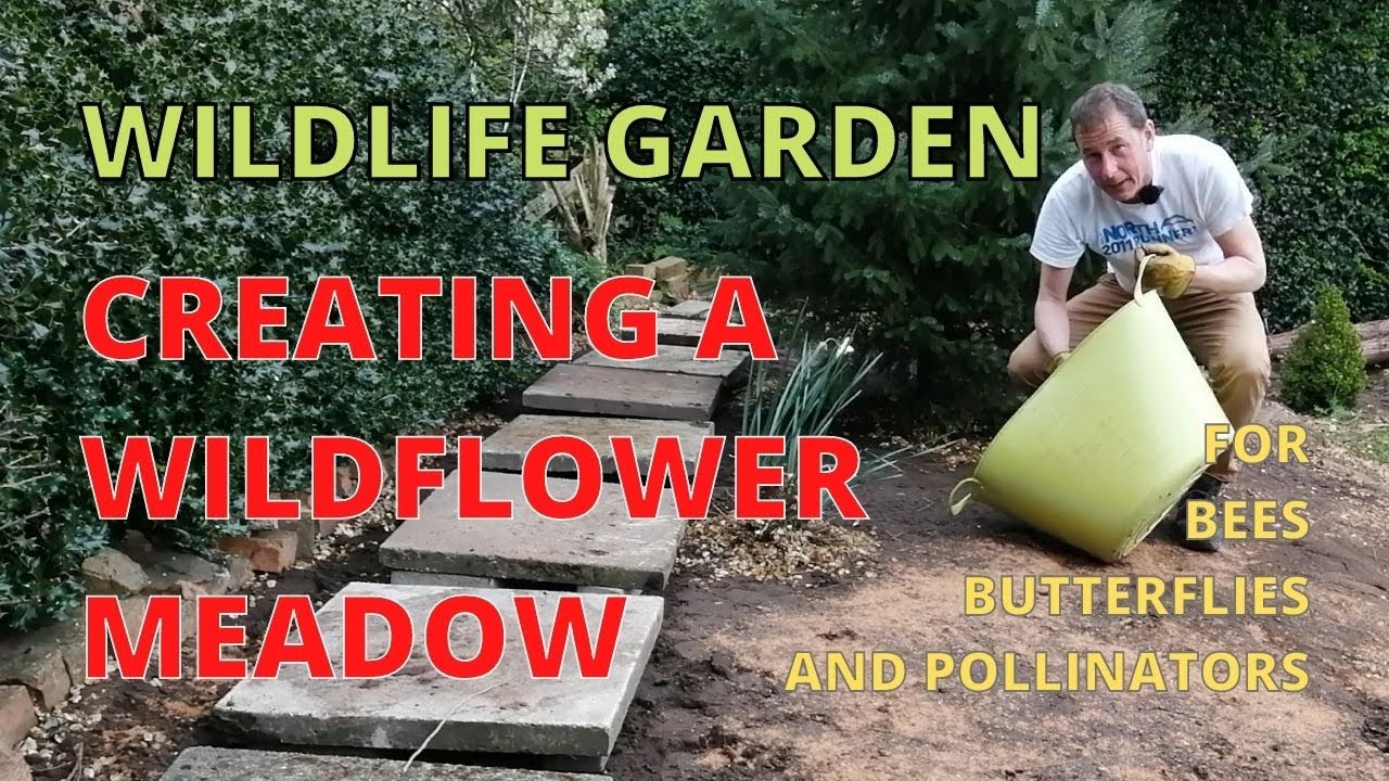 How to create a WILDFLOWER MEADOW, for Bees, Butterflies and Pollinators