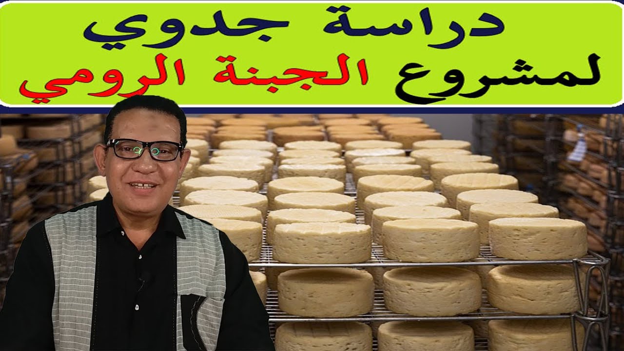 مشروع صناعة الجبن الرومي