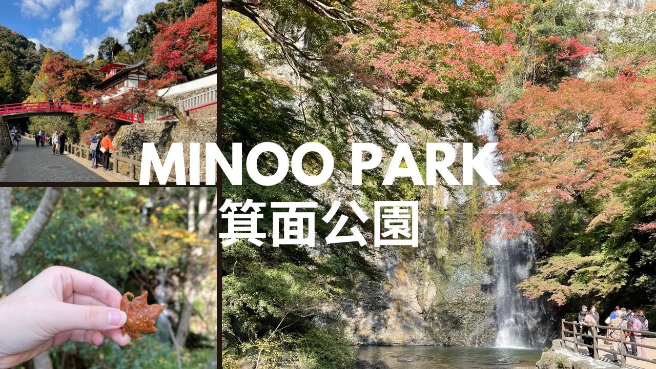 Поездка в Осаку: парк Миноо 🇯🇵 Водопад Миноо из 100 лучших водопадов Японии