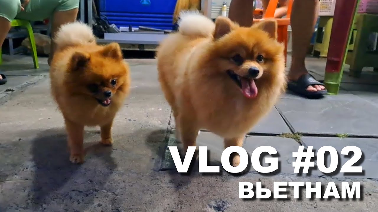 Один день в Нячанге | #Вьетнам - #vlog 2