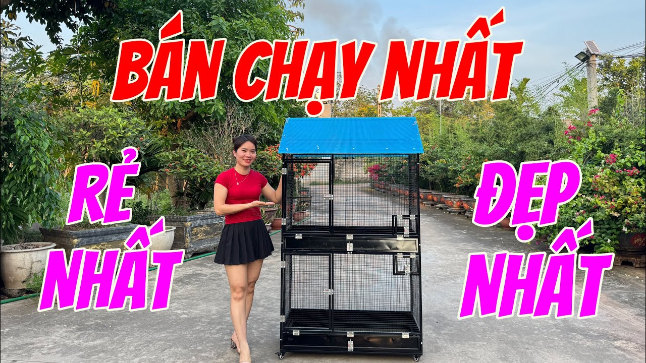 Mẫu avi nu&ocirc;i chim gi&agrave;nh cho m&ugrave;a h&egrave; si&ecirc;u rẻ, si&ecirc;u đẹp, chất liệu kẽm hộp cao cấp