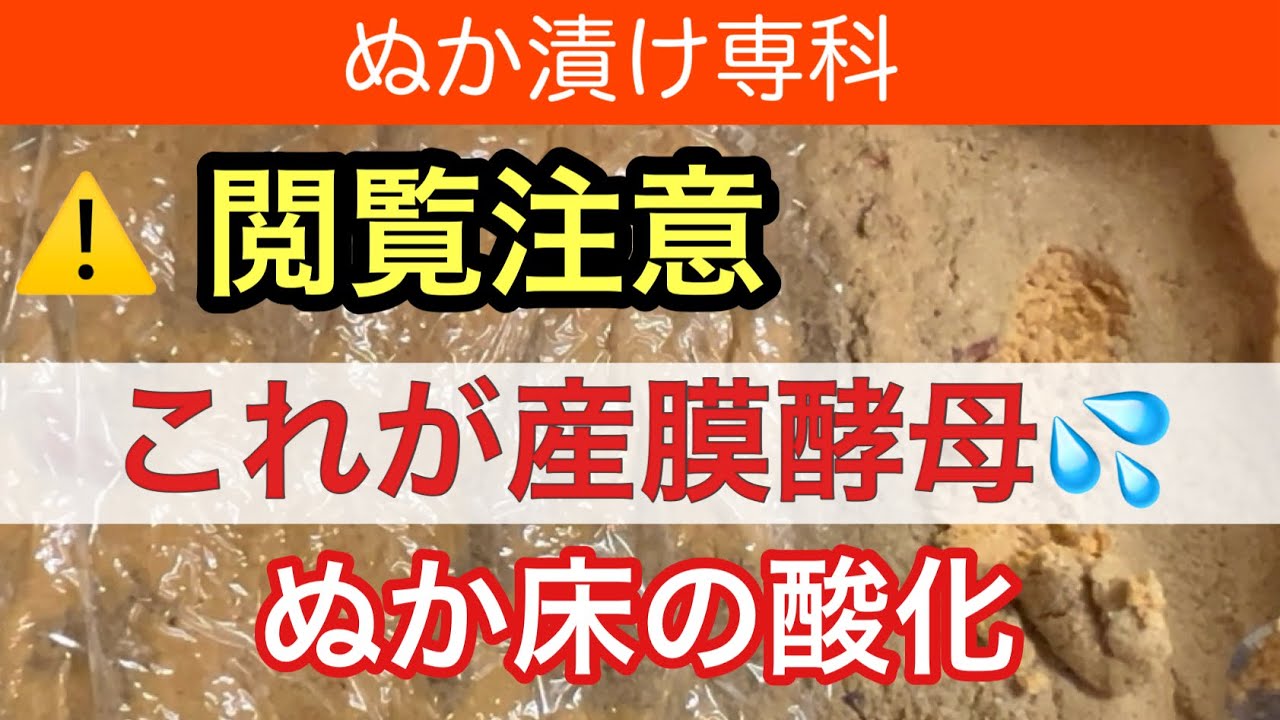 【ぬか漬け】産膜酵母と酸化の違い　#腸活 #ぬか床 #産膜酵母 #ぬか漬け