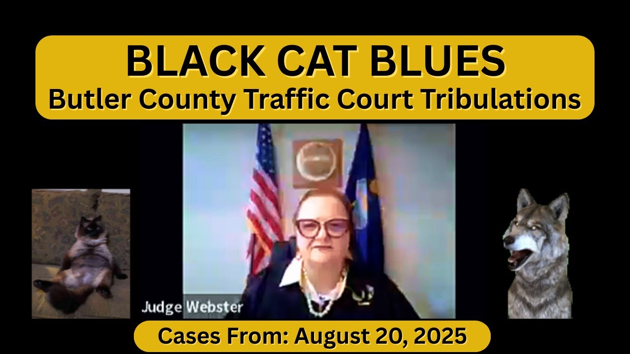 Black Cat Blues in Butler County Traffic Court on August 20, 2025