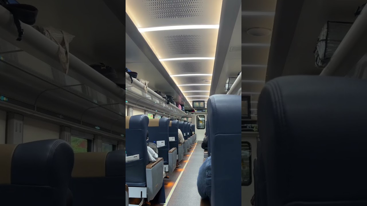 A real train ride experience with natural sounds and a calm atmosphere.