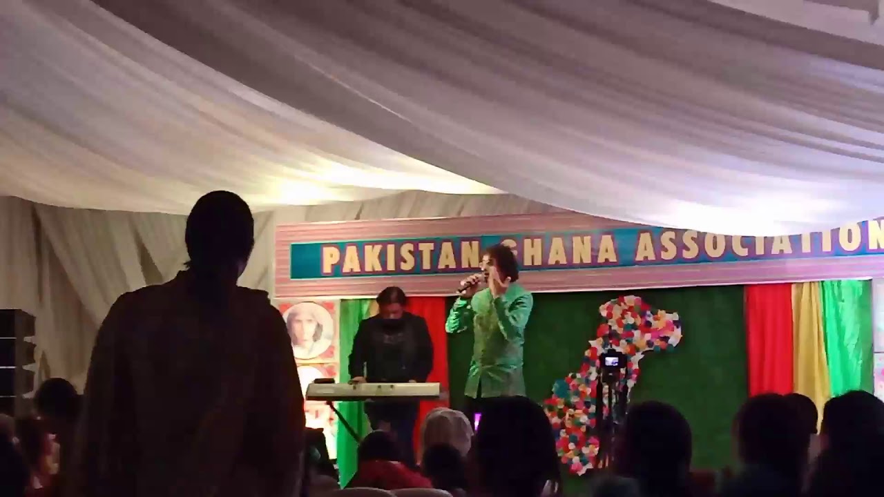 Imran Javed | singer | concert | Ali Vlogs