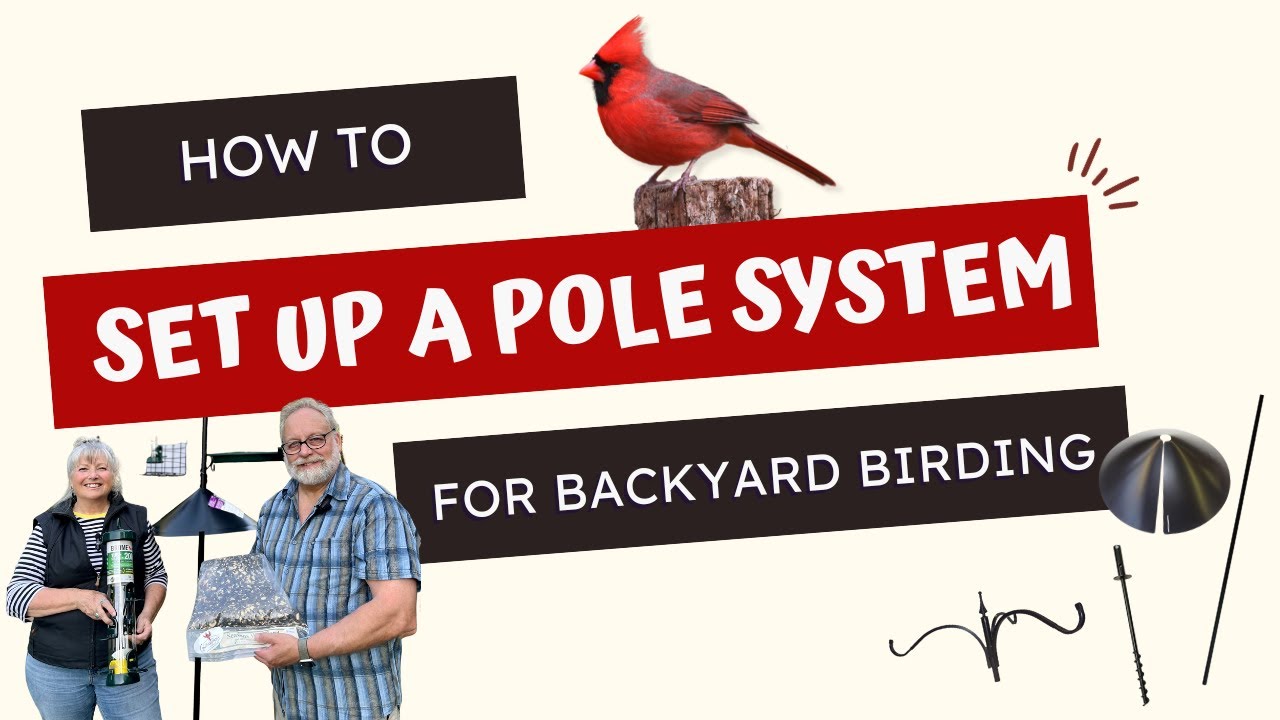 How To: Set Up A Pole System