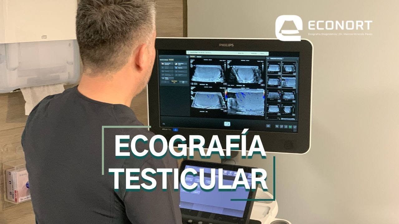 Ecografía Testicular Antofagasta - ECONORT