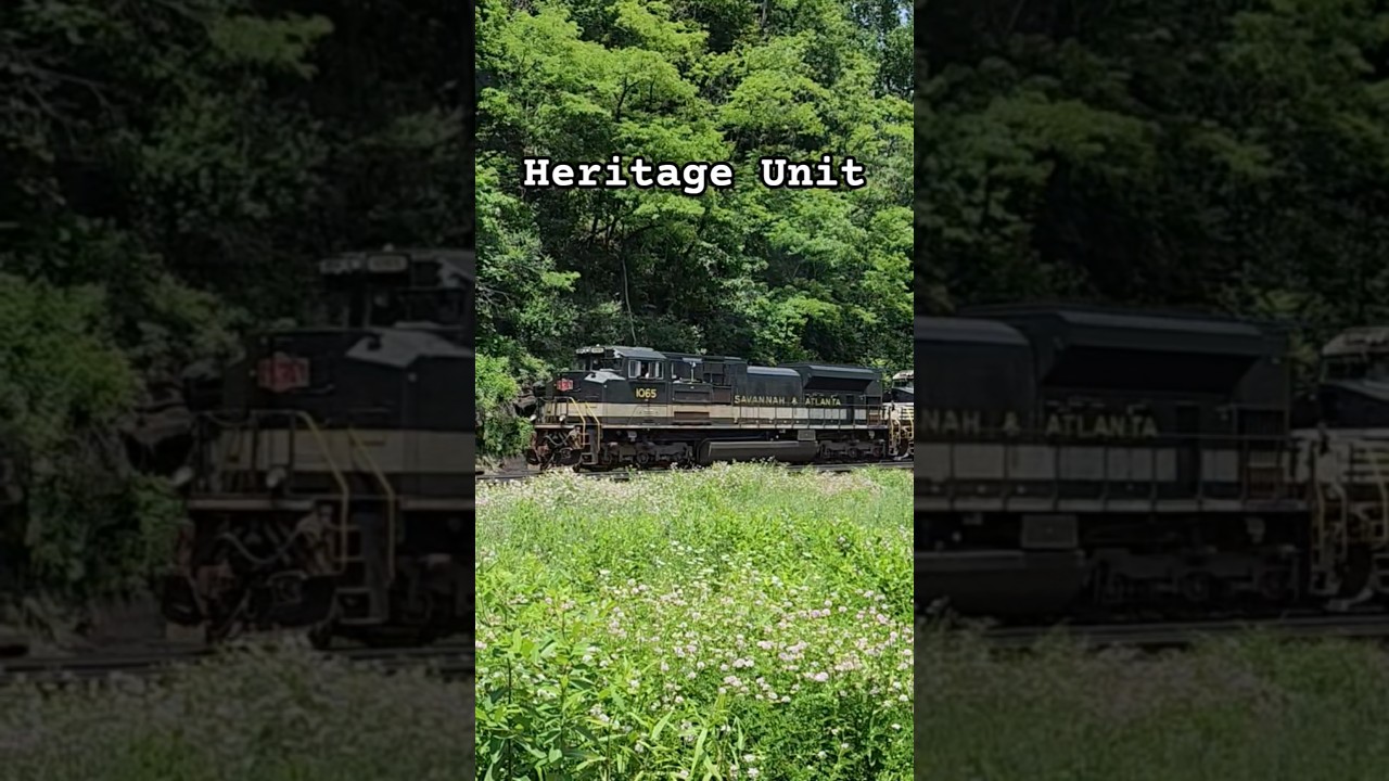 NS Heritage Unit 1065 rolls through the Horseshoe Curve in Altoona PA #train #ns #heritageunit
