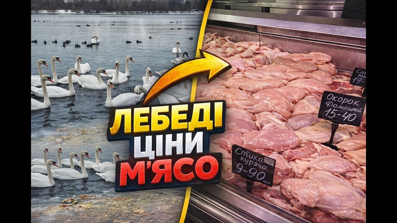 🥦ЩО ГРЕБУТЬ в маркеті на 4й рік вторгнення | 🔥ВІДПОЧИНОК на Оболоні | Київ сьогодні