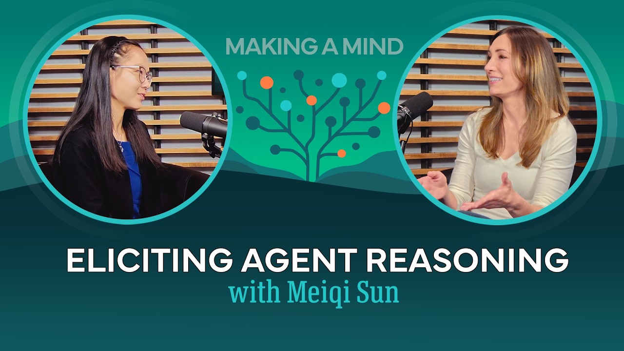 Eliciting Agent Reasoning with Meiqi Sun