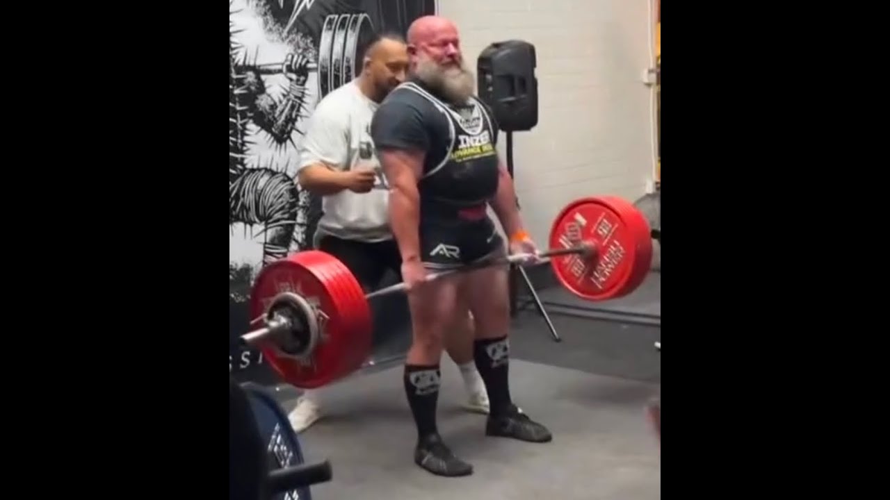 ANIMAL REACTS TO GYM FAILS 2025