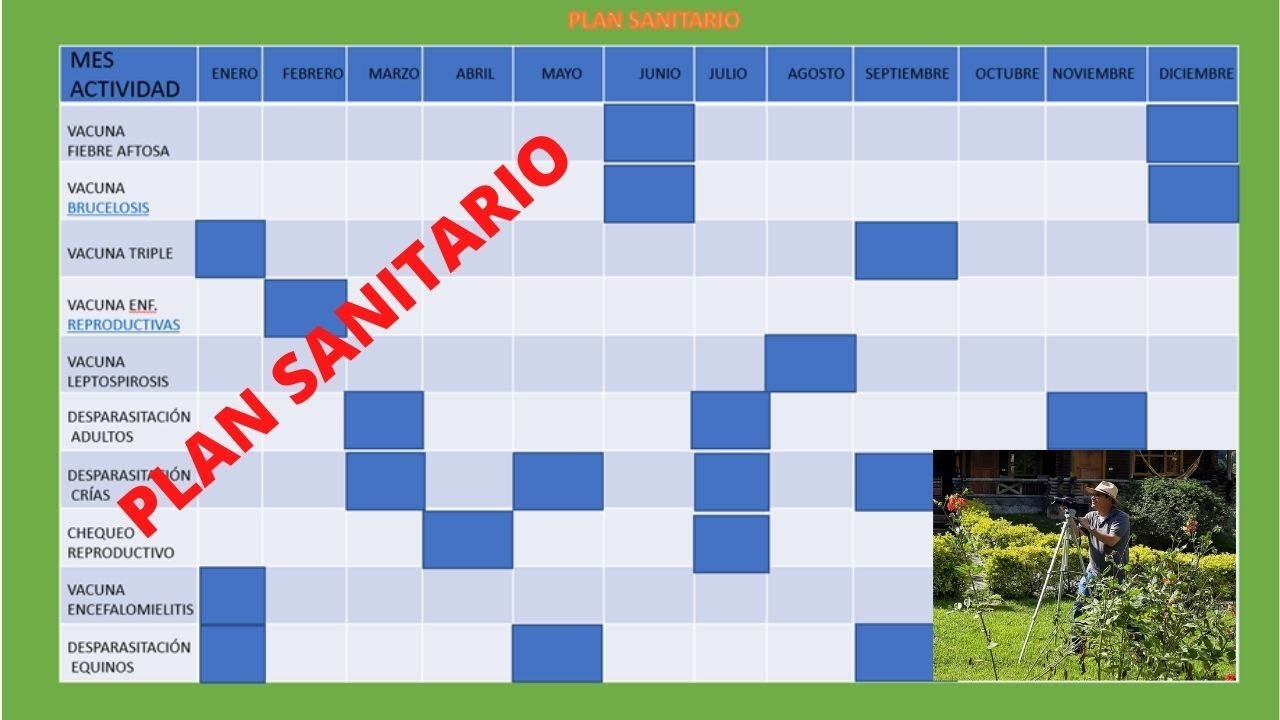 PLAN SANITARIO PARA BOVINOS /HEALTH PLAN FOR CATTLE