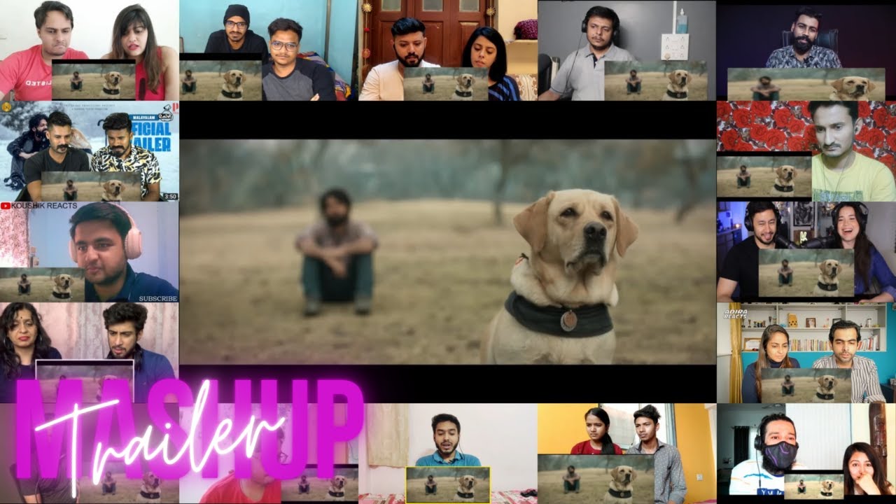 777 Charlie - Trailer Reaction Mashup 🐶😭 - Kannada | Rakshit Shetty | Kiranraj K | Nobin Paul