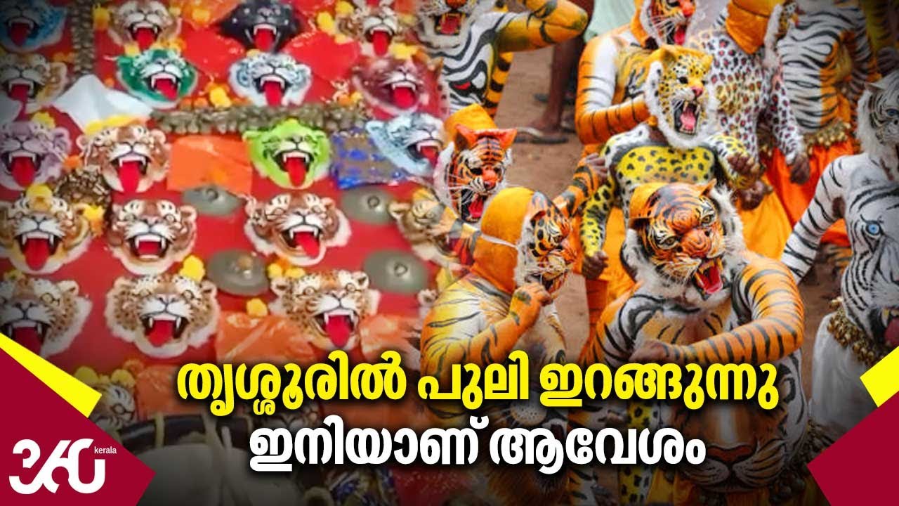 Thrissur Pulikali 2022 | തൃശ്ശൂരിൽ പുലി ഇറങ്ങുന്നു ഇനിയാണ് ആവേശം