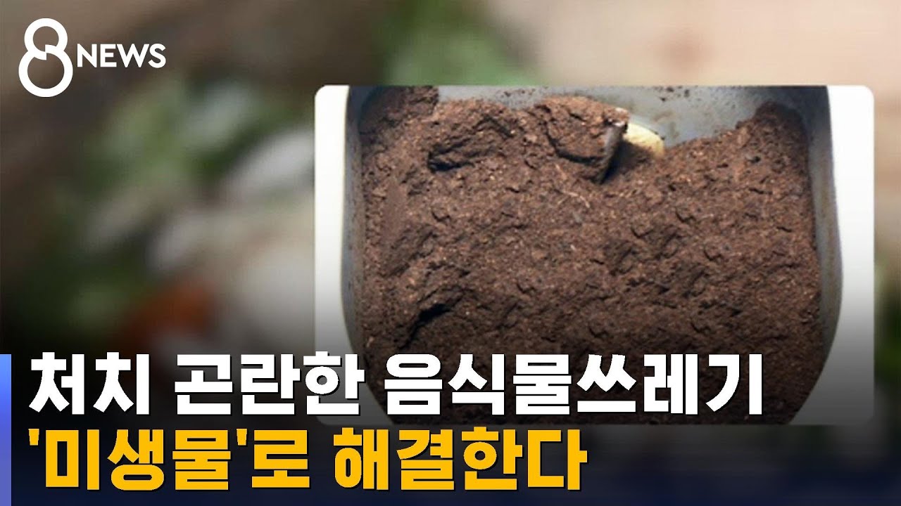 처치 곤란한 음식물쓰레기, '미생물'로 해결한다 / SBS