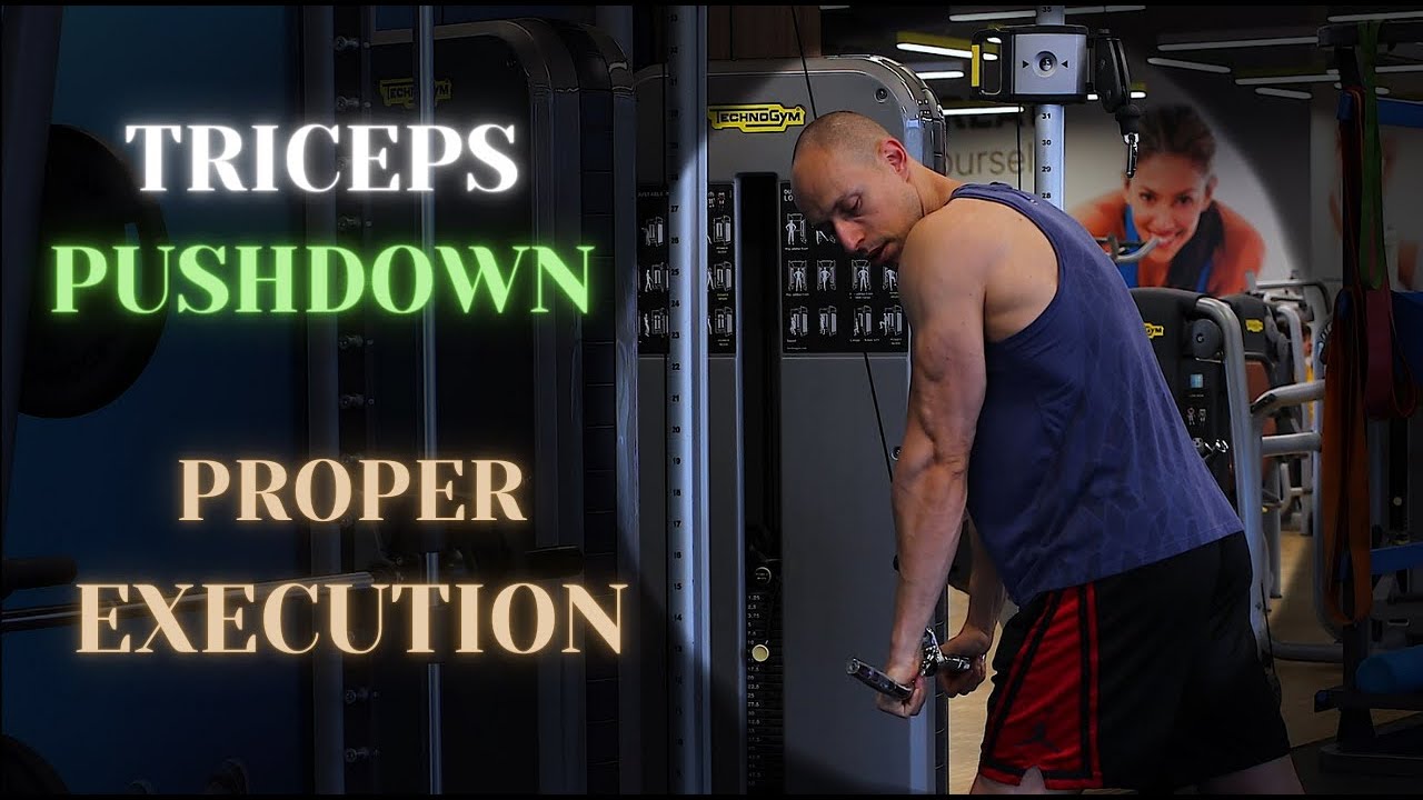 Трицепс Разгъване на Скрипец с Лост / Triceps Pushdown with Bar