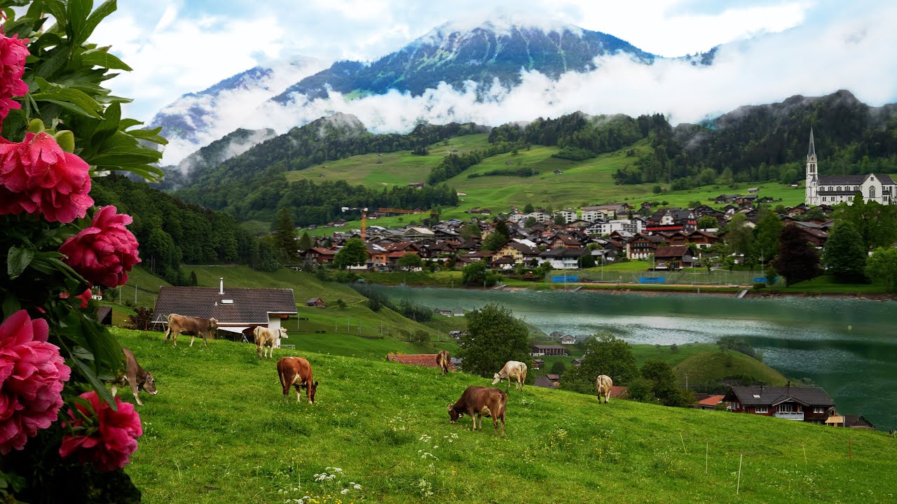 Switzerland 🇨🇭 A Heavenly Rain Walk Through Stunning Landscapes