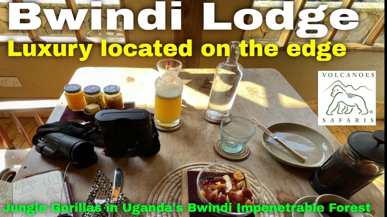 This Uganda Lodge Overlooks Gorilla Territory | Bwindi Lodge | Volcanoes Safaris