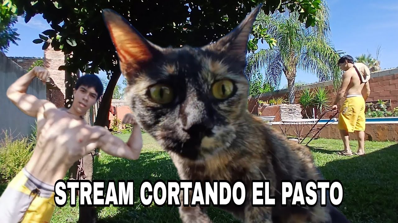 HICE UN STREAM CORTANDO EL PASTO!! (de mi casa jaja)