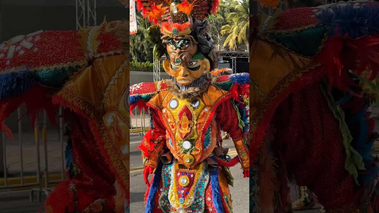 ✨Vlog Carnaval Dominicana ✨
