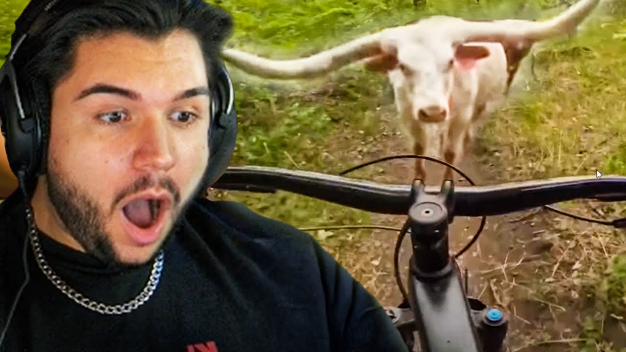 QUE ANIMAL GIGANTE! - BLUNDER reage a Daily Dose Of Internet