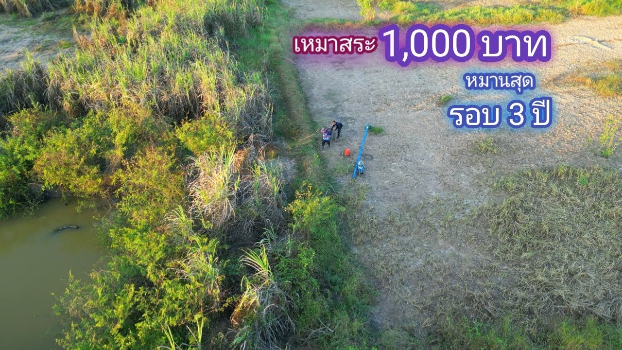 เหมาสระ 1,000 บาท เจอแจ็คพอดในป่าอ้อย ต้อนรับทีมงานจากอุบล มากับความหมาน ในรอบ 3 ปี / บ้านนอก EP.698