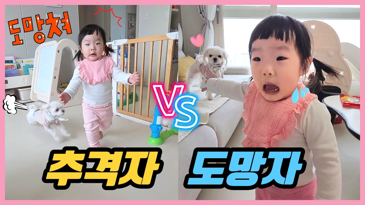 강아지가 잡힐 듯 잡히지 않는… 결국 눈물 터진 아기