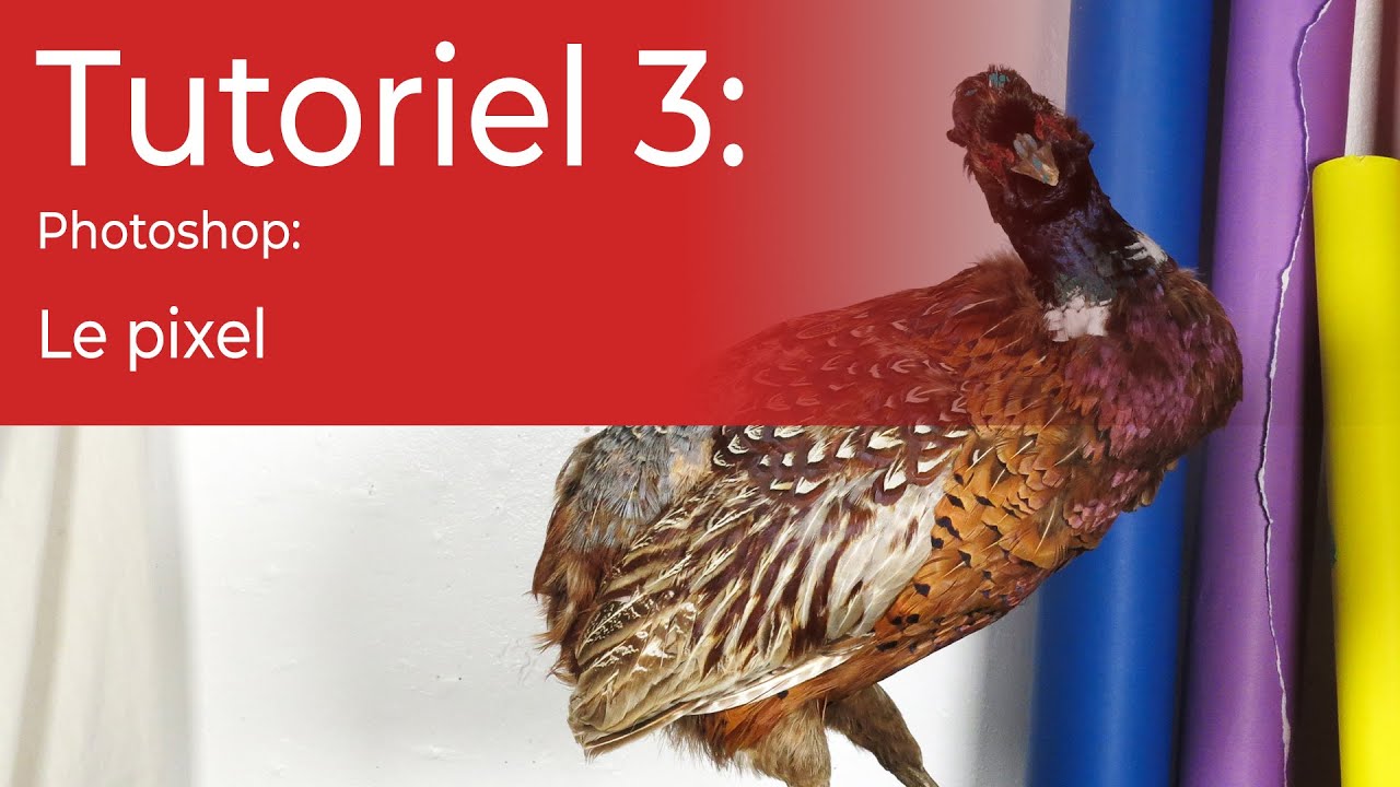 Tutoriel 3 - Photoshop Le pixel