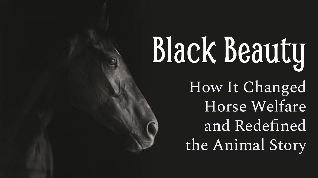 How Black Beauty Changed Horse Welfare and Redefined the Animal Story