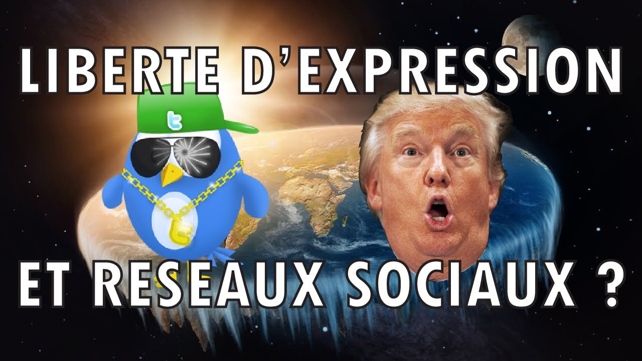 LIBERTE D'EXPRESSION 🗣️ ET RESEAUX SOCIAUX 🐦