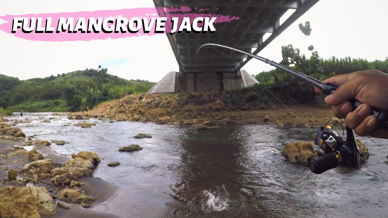 SASARAN TEPAT DI SARANG MANGROVE JACK BLITAR SELATAN