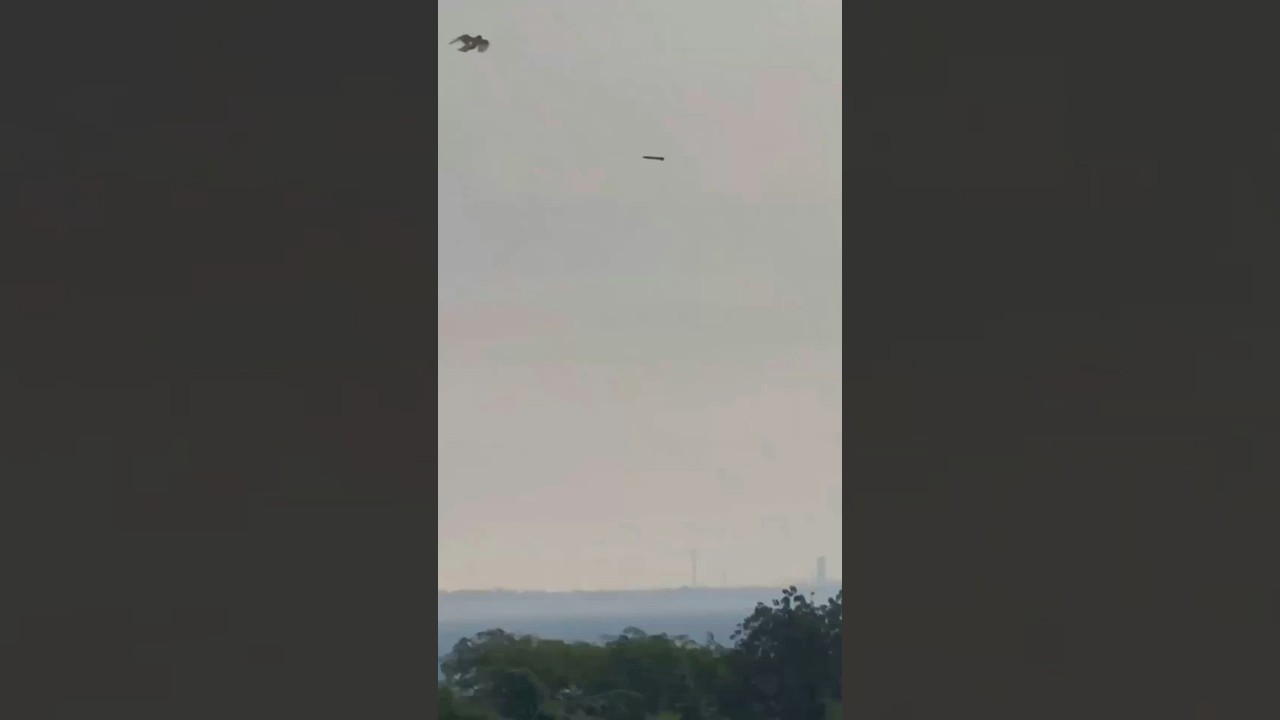 Ukrainian interceptor drone destroys Russian Shahed over Odesa