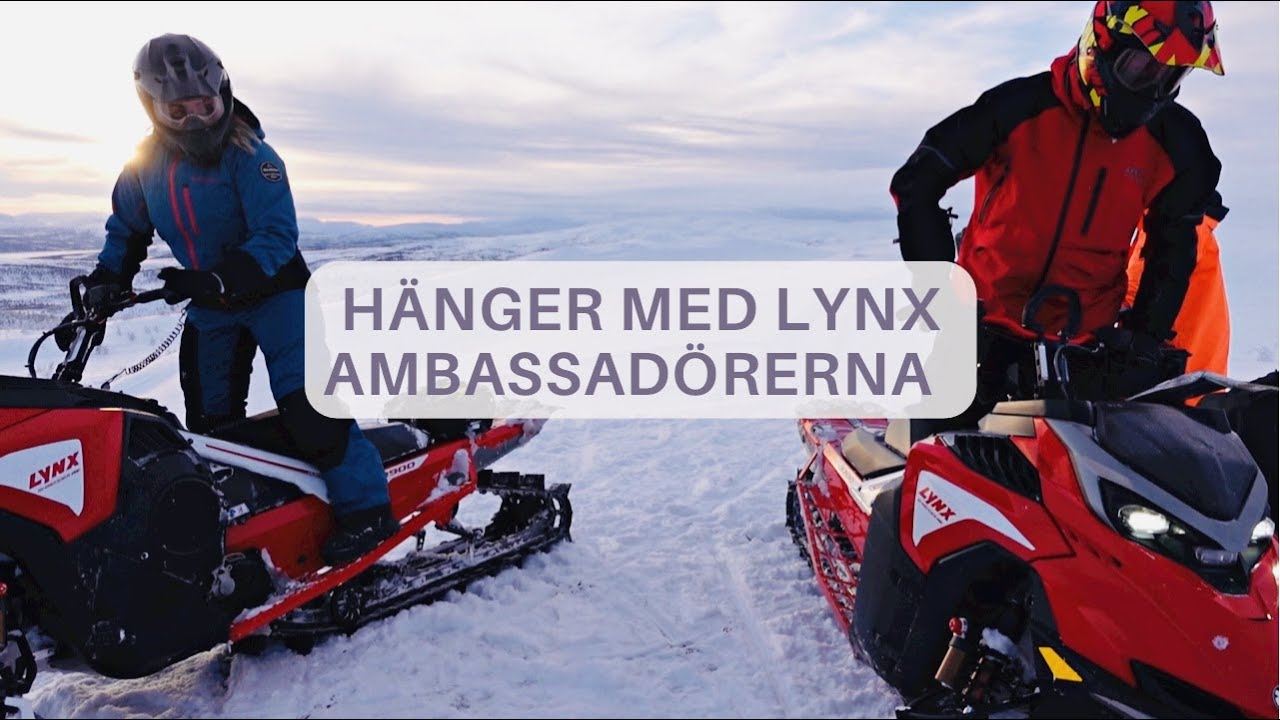 FILMINSPELNING LYNX 2023