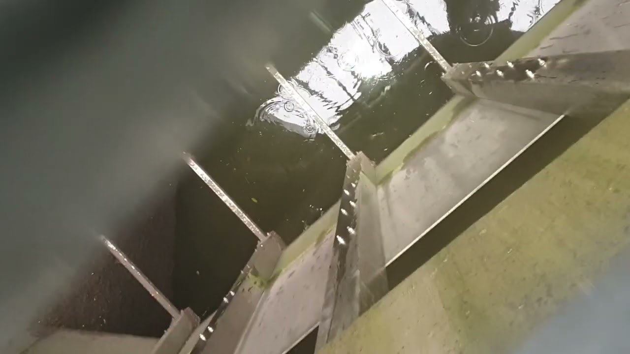 SKO an Emscher - Hochwasser - Rückstau - Ex Köttelbecke 24.12. 23 Stauraumkanal - AKE Emscher voll