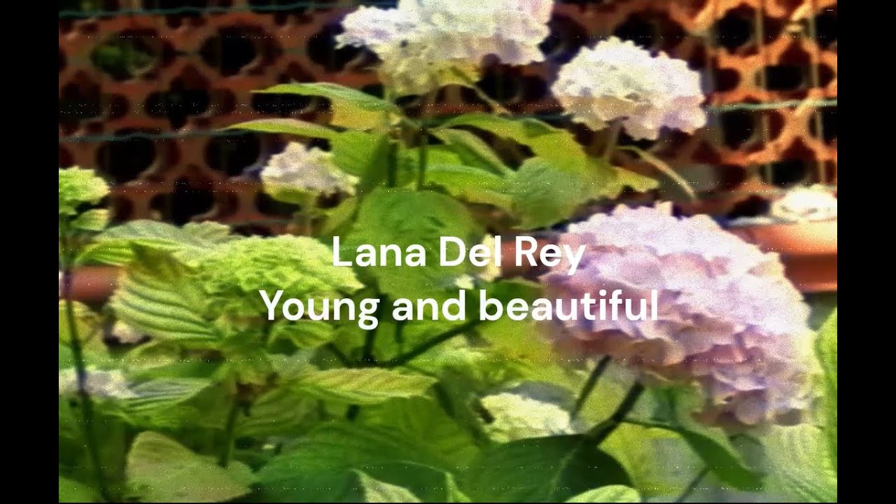 Lana Del Rey - Young and Beautiful (Music biteS Cover)