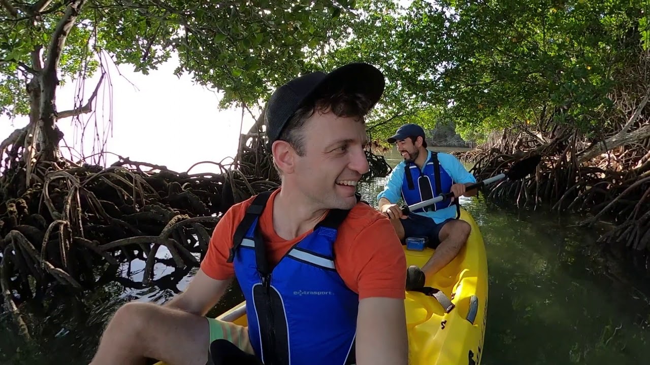 Crandon Park Kayak Tour
